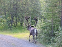 Obraz 208
